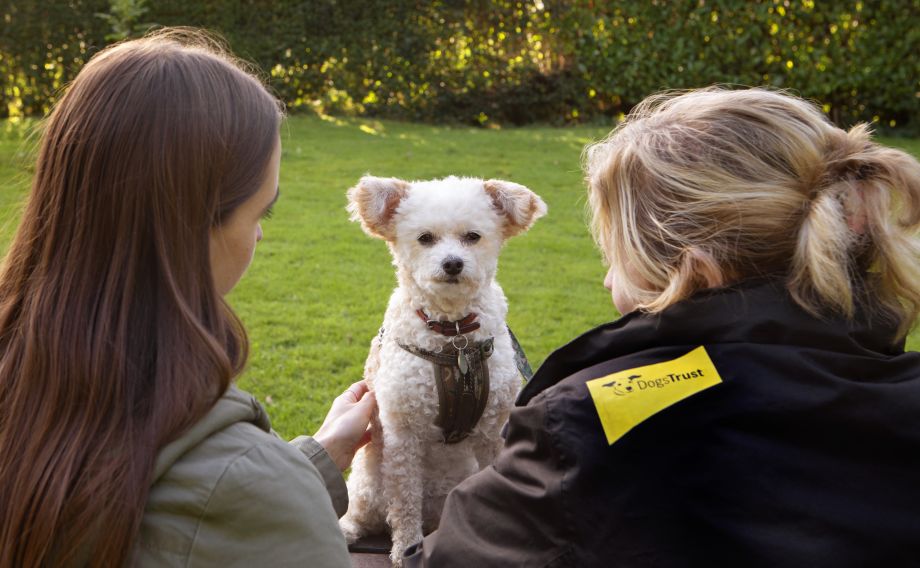 A woman and a Freedom Project staff member sit together with a small white dog 